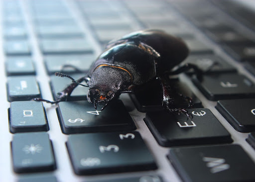 Stop Bugs From Getting Into Your Keyboard