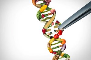 DNA FOOD TESTING AND GMOS: THE USE OF DNA TESTING TO DETECT GENETICALLY MODIFIED ORGANISMS (GMOS) IN FOOD
